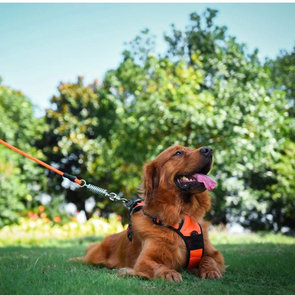No Pull Dog Harness Leash Set, Reflective Adjustable Soft Padded Dog Vest